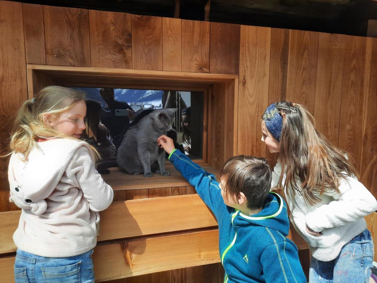 Adlerhof Apartman Sankt Leonhard im Pitztal Kültér fotó